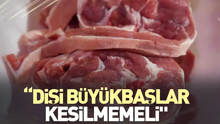'Dişi büyükbaşlar kesilmemeli'