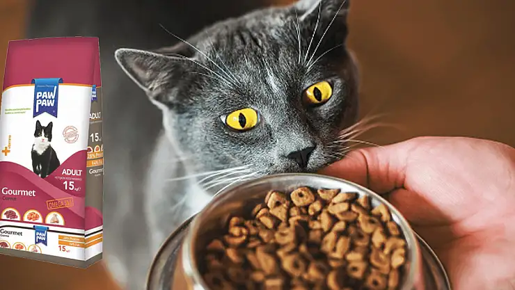 Paw Paw Gurme 15 Kg Kedi Maması İçeriği ve Faydaları