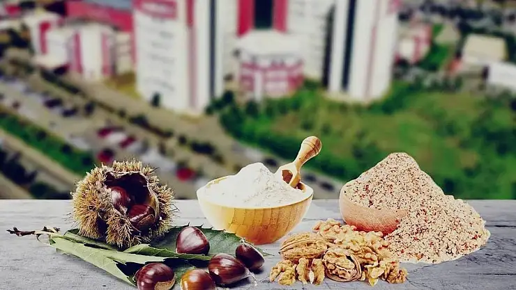 Kestane, artık sadece mangalda keyif değil biberonda da şifa dağıtacak