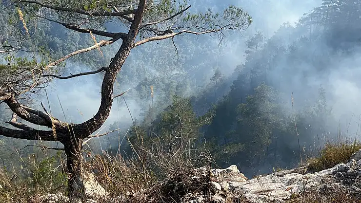 Orman yangınında 23, satı gerimizde bıraktık