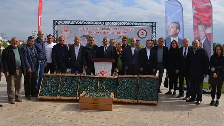 625 bin adet brokoli fidesi dağıtıldı