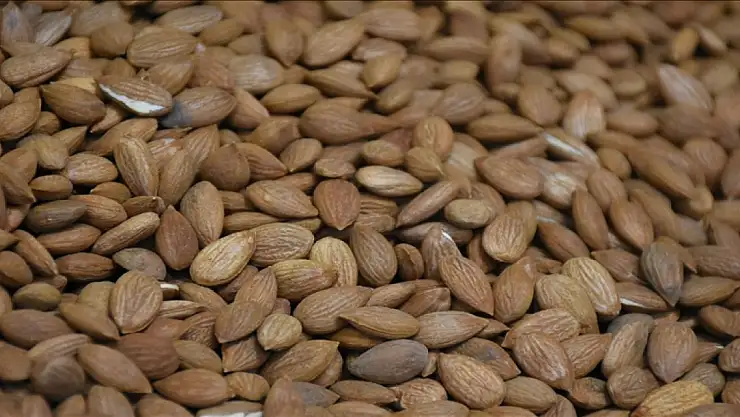 10 milyon dolar gelir elde edildi