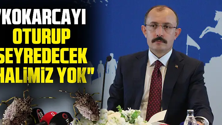 'Kokarcayı oturup seyredecek halimiz yok'