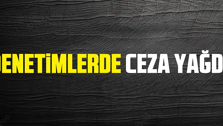 Denetimlerde Ceza Yağdı!