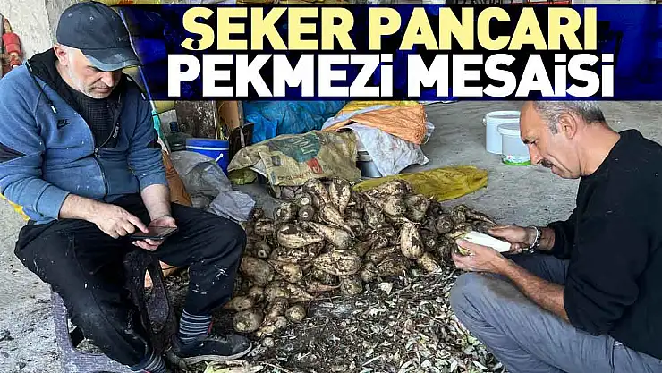 ŞEKER PANCARI PEKMEZİ MESAİSİ
