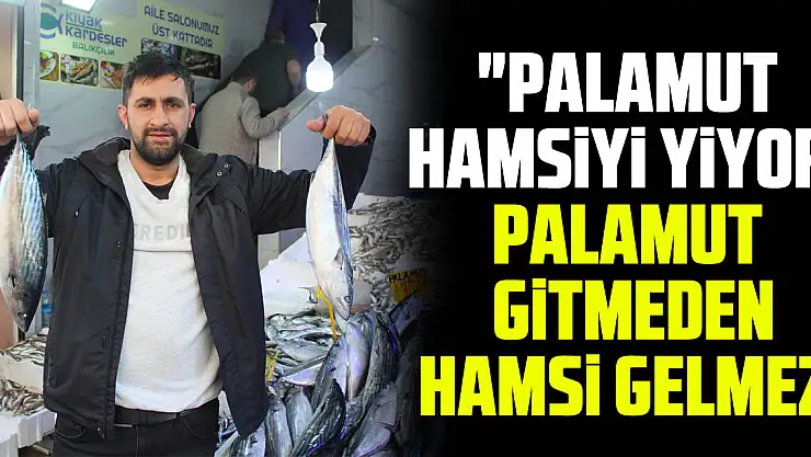 'PALAMUT HAMSİYİ YİYOR, PALAMUT GİTMEDEN HAMSİ GELMEZ'
