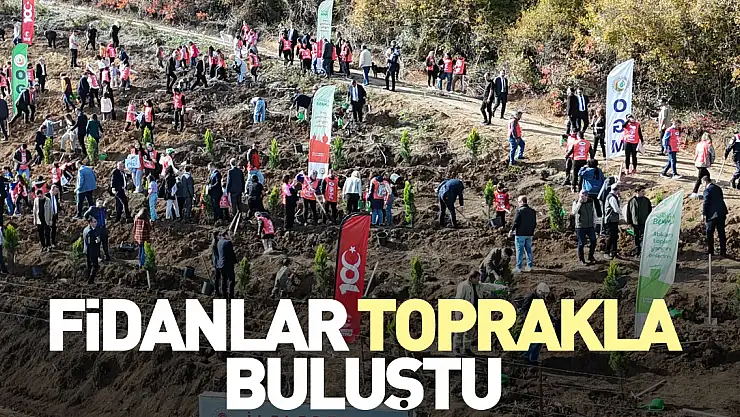 Fidanlar Toprakla Buluştu