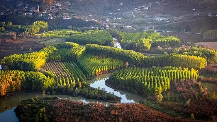 Melen Çayı Mevsim Rengini Aldı