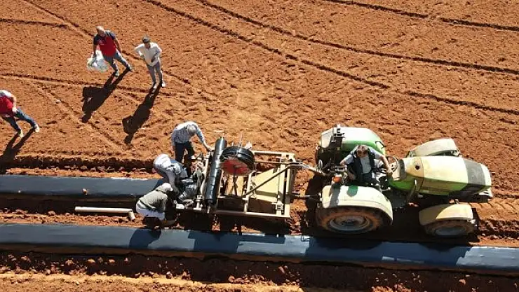 12 ay çilek üretimiyle ekonomiye kazandırıldı