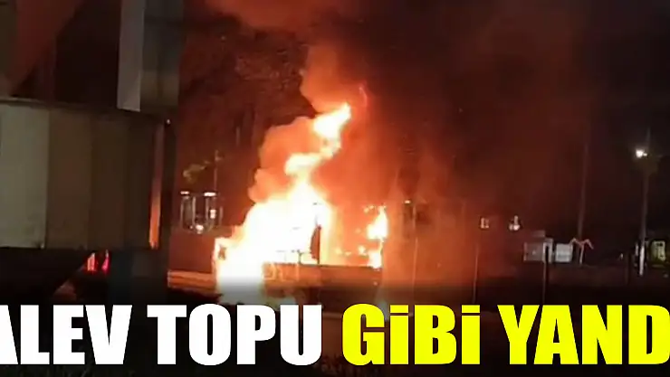 ALEV TOPU GİBİ YANDI
