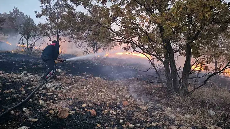 Anız yangını ormanlık alanı hedef aldı