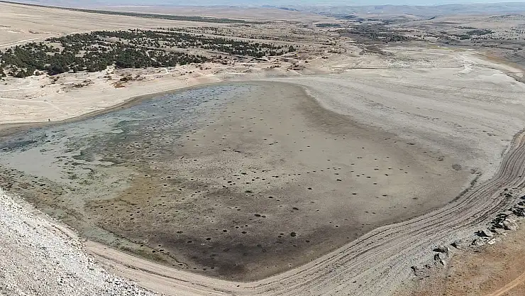 Su seviyesi düşen barajda balıklar can çekişiyor