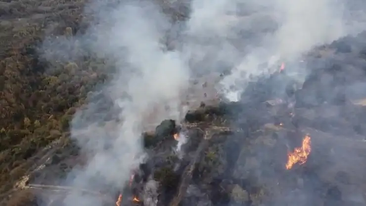 Biga'da orman yangını can yaktı