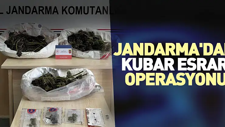 Jandarma'dan kubar esrar operasyonu