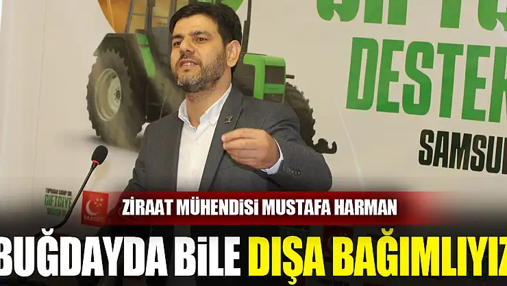 'Fındıkta bilinçli ilaçlama yok'