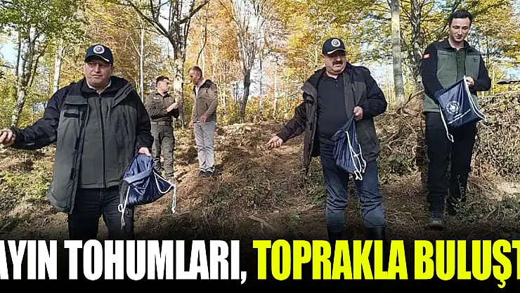 Kayın Tohumları, toprakla buluştu