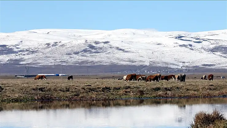 Ardahan'da dağların zirvesi beyaza büründü