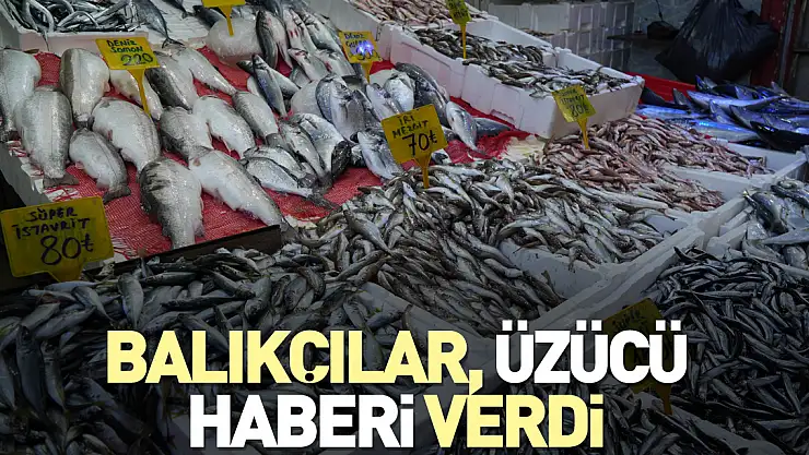 Balıkçılar, üzücü haberi verdi