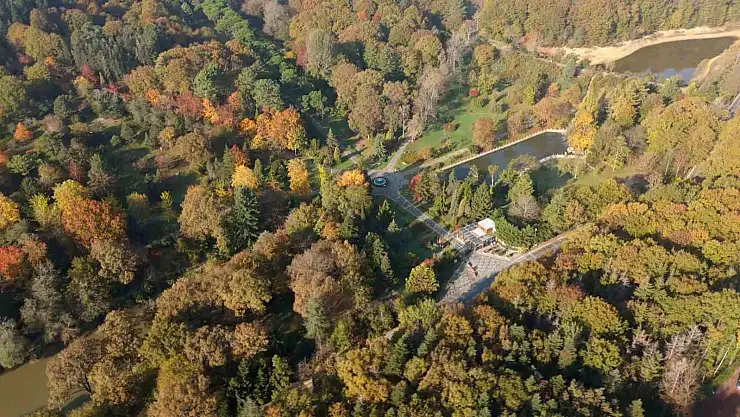 Atatürk Arboretumu'ndaki kartpostallık sonbahar manzarası havadan kuş başı cekildi