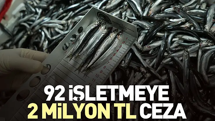 92 işletmeye 2 milyon TL ceza