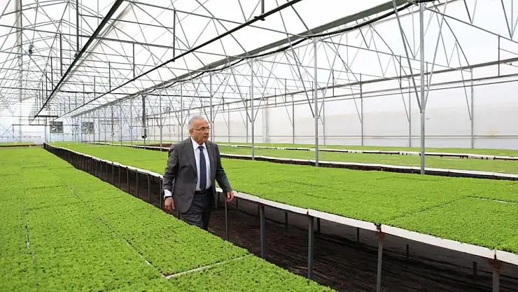 3,5 milyon fide üreticiyle buluştu