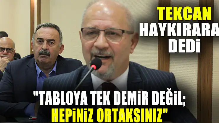 'TABLOYA TEK DEMİR DEĞİL HEPİNİZ ORTAKSINIZ'