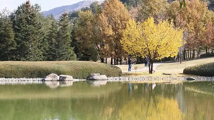 Japon Bahçesi ziyaretçileri ağırlıyor
