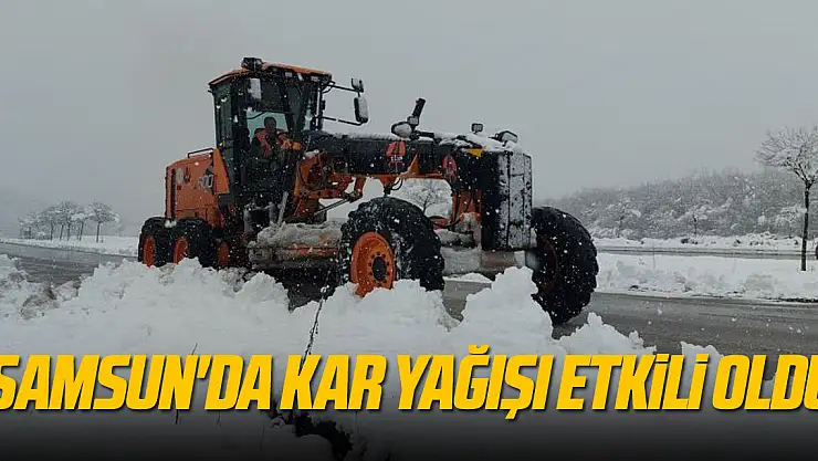 Samsun'da kar yağışı etkili oldu
