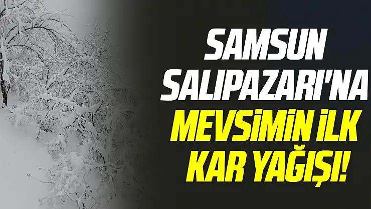 SAMSUN SALIPAZARI'NA YILIN İLK KARI YAĞDI