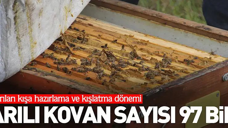 Arılı kovan sayısı 97 bin