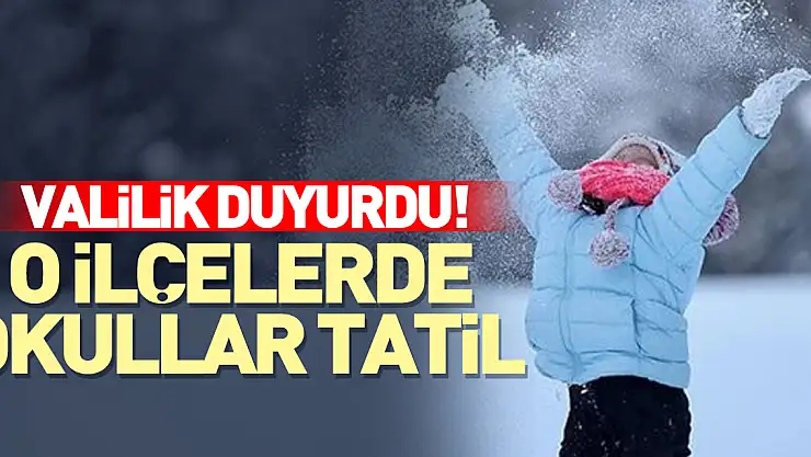 Valilik Duyurdu! O ilçelerde kar tatili