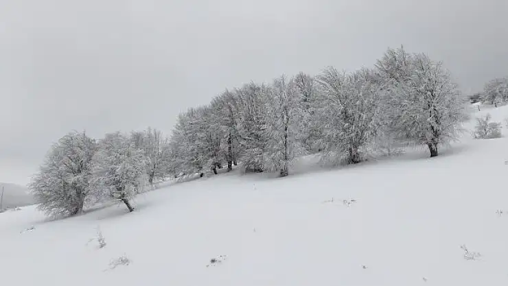 Kocadağ Yaylası beyaza büründü