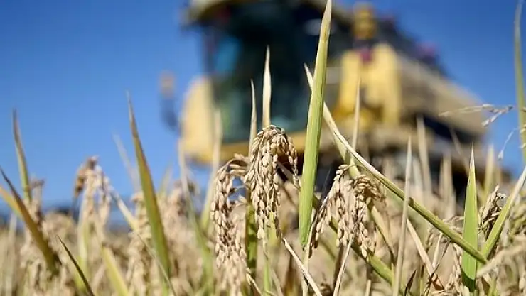 Üçüncü çeyrekte yüzde 4,6 büyüme