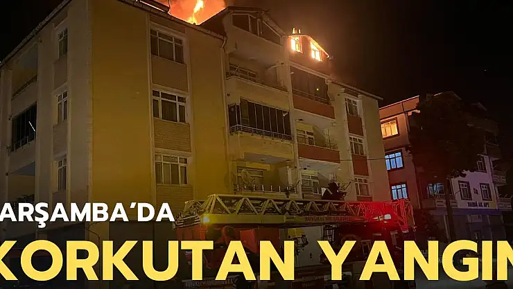 Çarşamba'da korkutan yangın