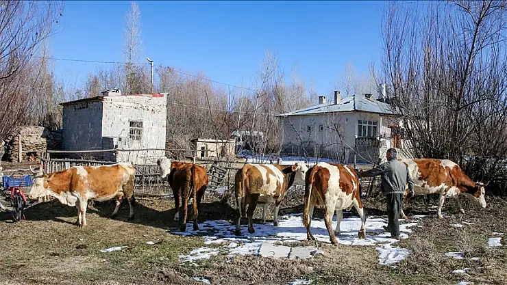 İŞKUR hibe desteğiyle 95 engellinin işini kurması sağlandı