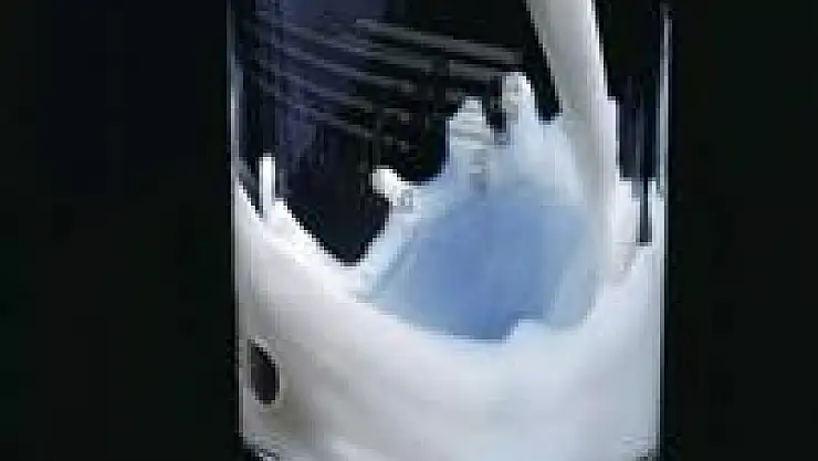 Bakan Eker: Sütte kanser riski yok