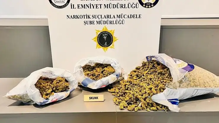 5 kilo 700 gram skunk ele geçirildi