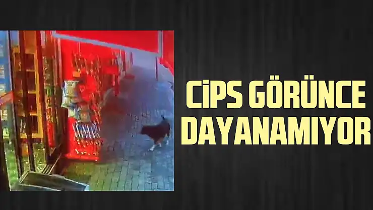 CİPS GÖRÜNCE DAYANAMIYOR