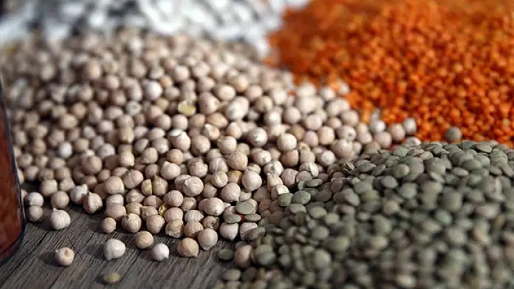 Türk hububatçıların gözü bu pazarda