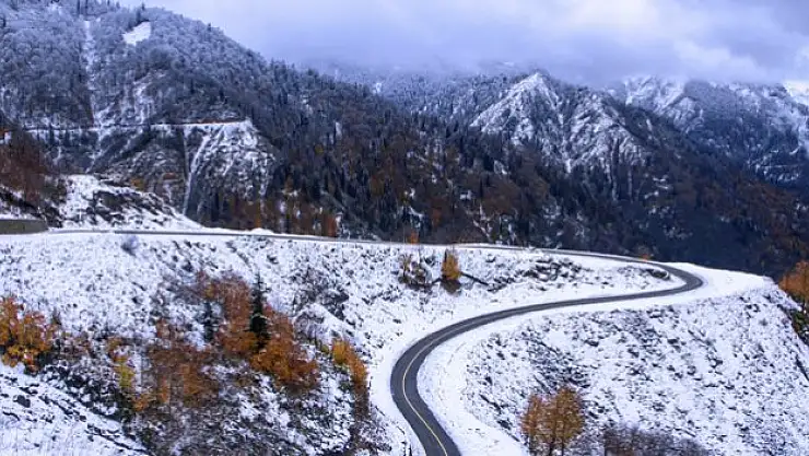 Giresun'da Yeşil Yol Projesi