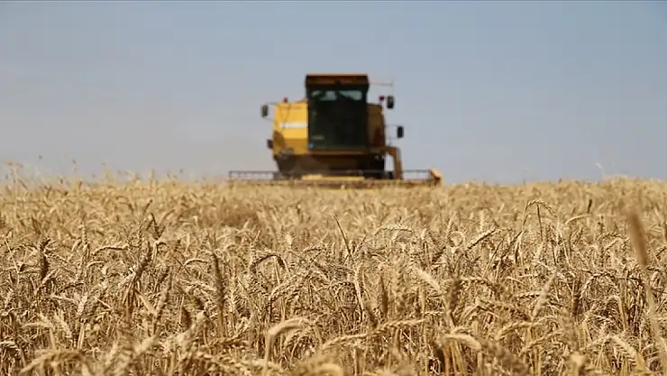 Çiftçilere tarımsal destekleme ödemesi yapılacak