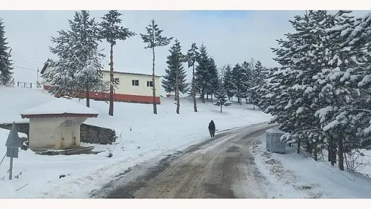 Karadeniz'de etkili kar yağışı