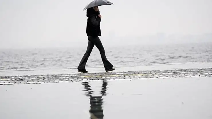 Geçen yıla göre yüzde 50 azaldı