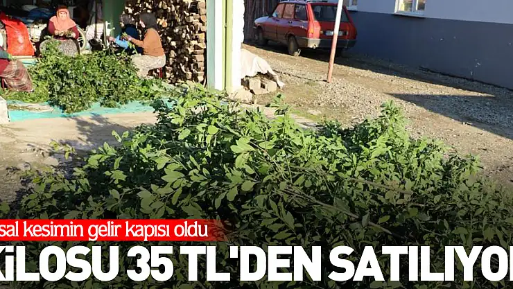 Kilosu 35 TL'den satılıyor