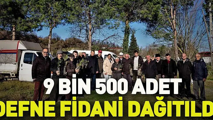Bafra'da 9 bin 500 adet defne fidanı dağıtıldı