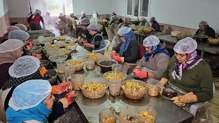 Ünü kıtaları aştı