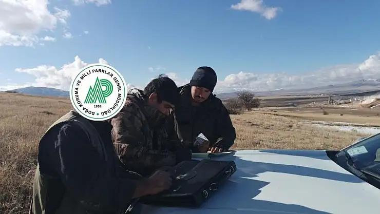 Yasa dışı ava idari işlem