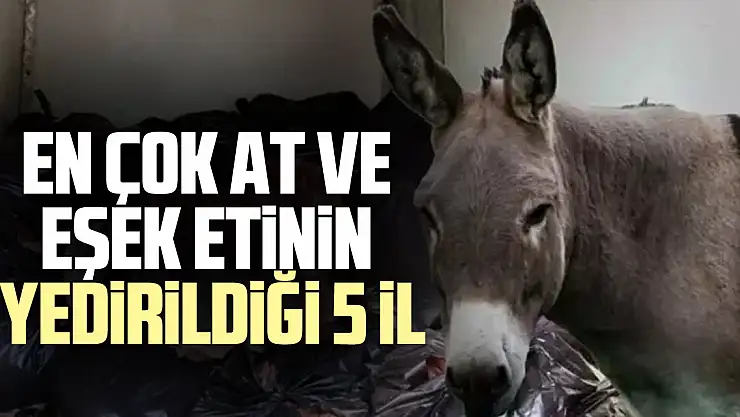 en çok at ve eşek etinin yedirildiği 5 il