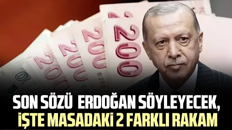 Asgari ücrette son sözü Erdoğan söyleyecek, işte masadaki 2 farklı rakam