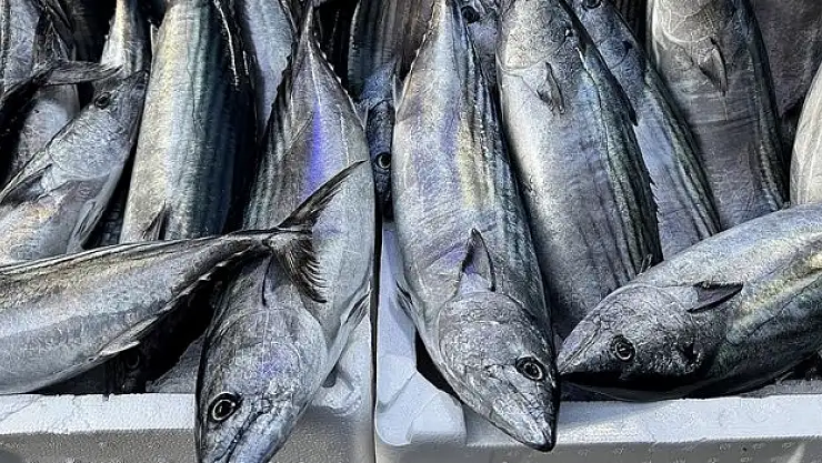 Tanesi 200 lira oldu